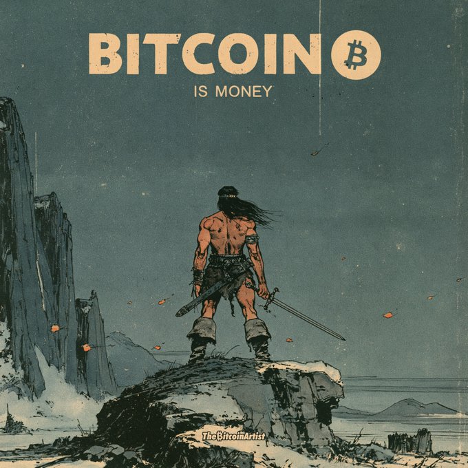 A stylized illustration of a barbarian warrior with dual swords standing on a cliff, with the text 'BITCOIN IS MONEY' and signed 'The BitcoinArtist'.