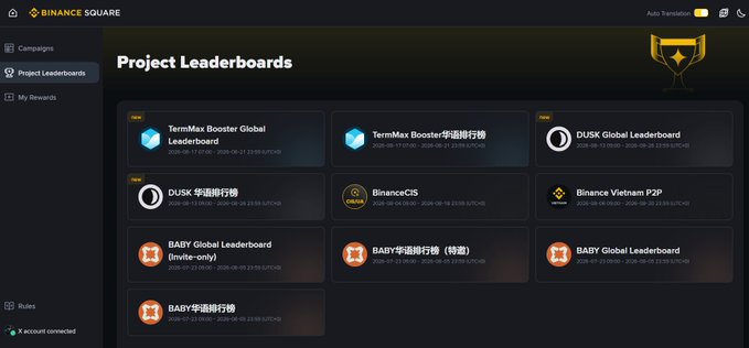 A Binance Square 'Project Leaderboards' page displaying various leaderboards including 'TermMax Booster Global Leaderboard,' 'TermMax Booster华语排行榜,' 'DUSK Global Leaderboard,' 'DUSK 华语排行榜,' 'BinanceCIS,' 'Binance Vietnam P2P,' and multiple 'BABY Global Leaderboard' entries.