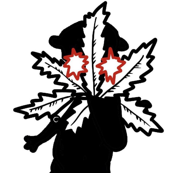 An illustration of a dark bear silhouette with large, leaf-shaped maple leaves in white and red bursting outward from its head area, evoking a cannabis plant.