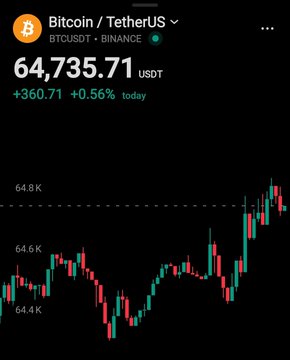 A cryptocurrency price chart showing Bitcoin/TetherUS (BTCUSDT) on Binance at $64,735.71 USDT, up +$360.71 (+0.56%) for the day, with red and green candlestick price movements.