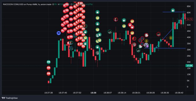 A TradingView candlestick chart showing RACCOON COIN/USD on Pump AMM with numerous buy/sell indicators, showing prices ranging from approximately 17K to 65K with visible letters W, M, A, and C marking key points.