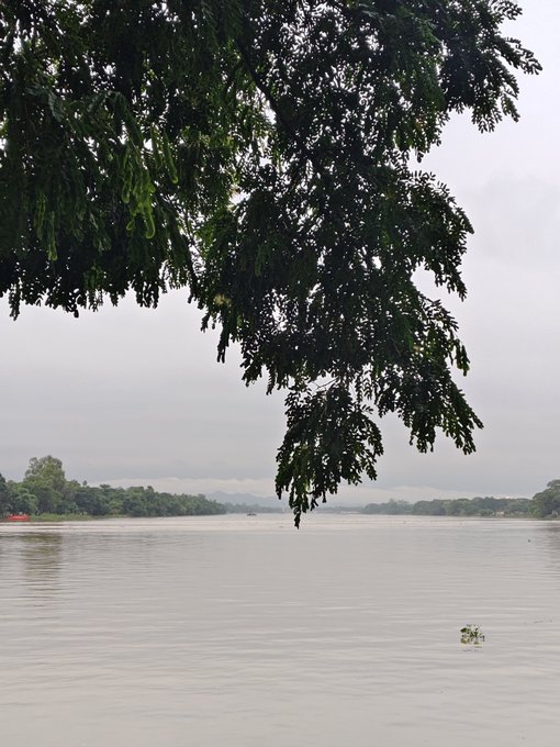 The image features a large tree with green leaves hanging over a body of water, creating an interesting contrast between nature's elements. The sky above appears cloudy, adding depth to the scene. The photo has been captioned "Good Afternoon X Fam Stories create communities. Communities create movements. Now it' s time to share the vision of @CNPYNetwork and earn along the way." This message is related to the post because it highlights the importance of storytelling in creating connections, fostering a sense of community, and inspiring change through shared experiences or ideas.