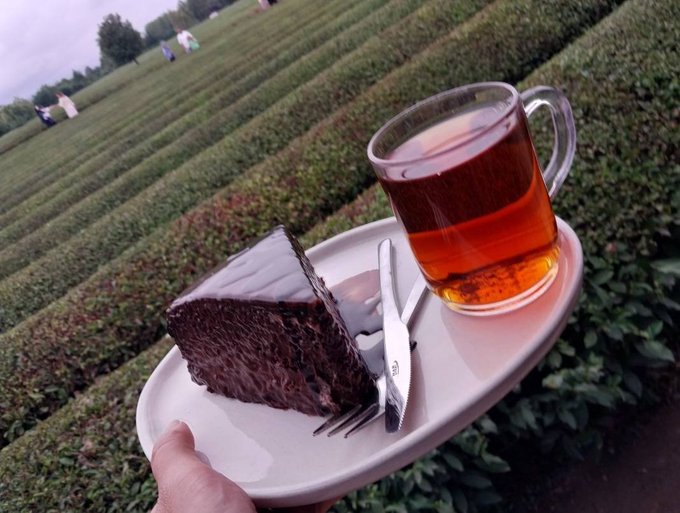 A hand holds a white plate with a slice of chocolate cake, utensils, and a glass mug of tea in front of a tea field.
