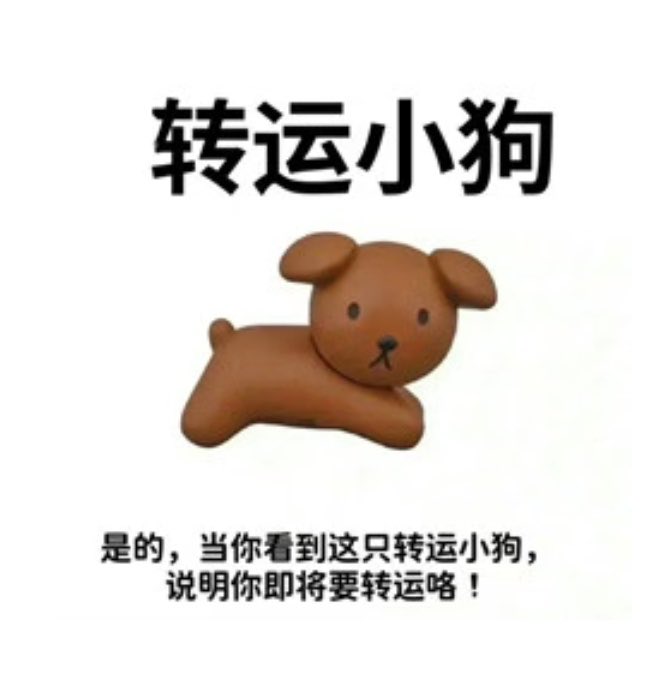 A cute brown cartoon puppy figurine is displayed beneath the Chinese title "转运小狗" (Lucky Puppy), with caption text reading "是的，当你看到这只转运小狗，说明你即将要转运咯！" which translates to "Yes, when you see this lucky puppy, it means your luck is about to change!"