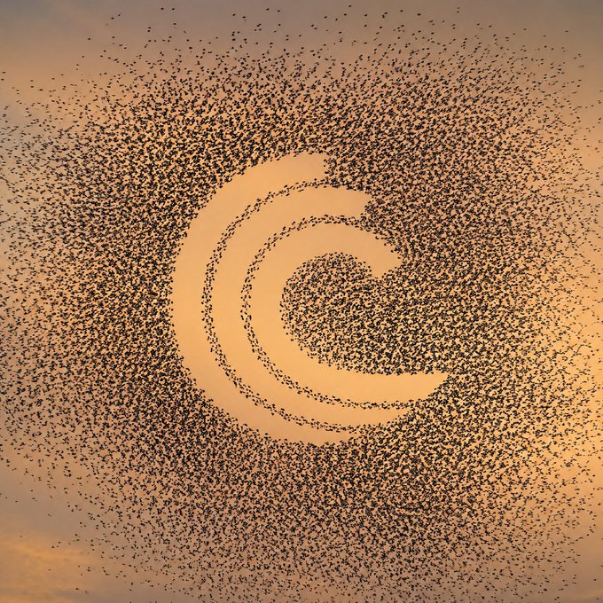 A stunning silhouette of a massive flock of birds swirling in the sky at sunset, collectively forming the shape of a large letter 'C' against an orange, glowing background.