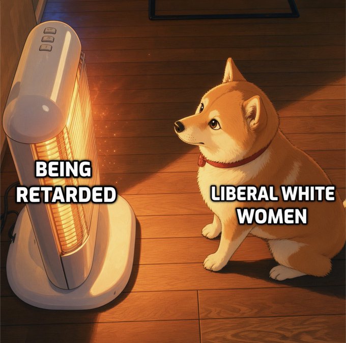 An illustrated Shiba Inu dog labeled "LIBERAL WHITE WOMEN" sits on a wooden floor gazing at a glowing space heater labeled "BEING RETARDED," suggesting these women are drawn to warmth through their behavior, as captioned by "This."