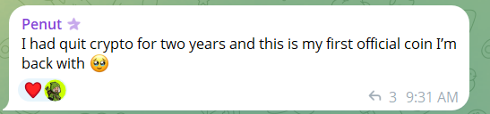 A message from 'Penut' reading 'I had quit crypto for two years and this is my first official coin I'm back with 😍❤️🐸' sent at 9:31 AM.