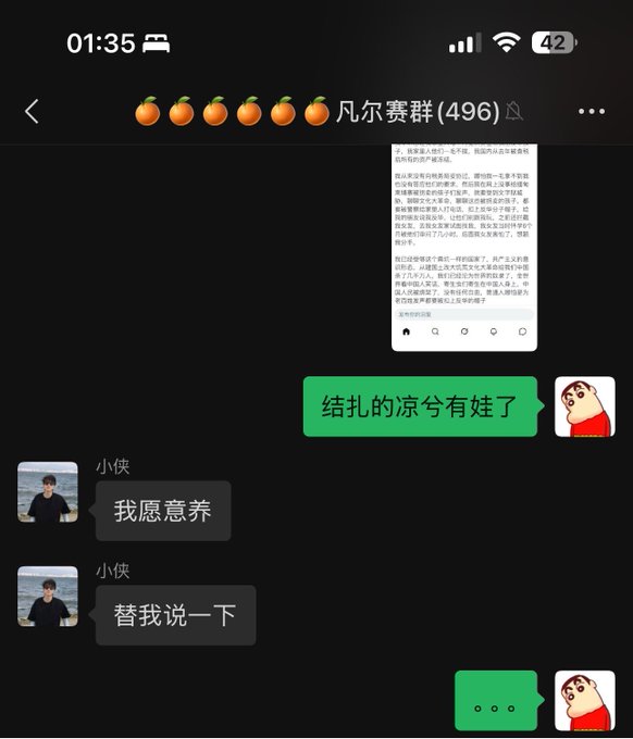 A Chinese messaging app chat screenshot showing a conversation in the group '凡尔赛群(496)', with messages including '我愿意养' and '替我说一下'.