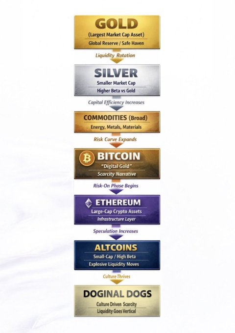 An infographic illustrating a financial hierarchy from 'GOLD' down to 'DOGINAL DOGS', listing asset classes and describing a downward flow of liquidity and speculation.