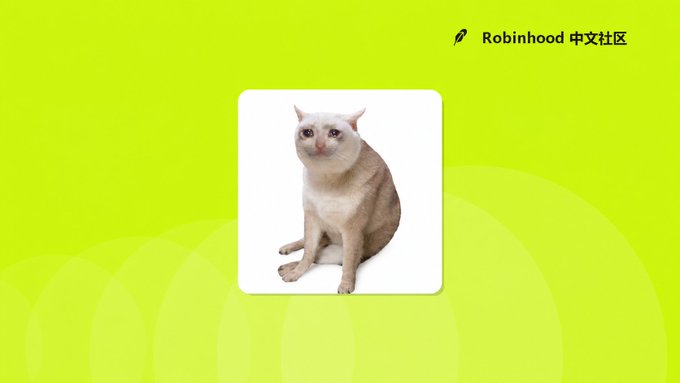 A green graphic featuring a hairless Sphynx cat with 'Robinhood 中文社区' text in the upper right corner.