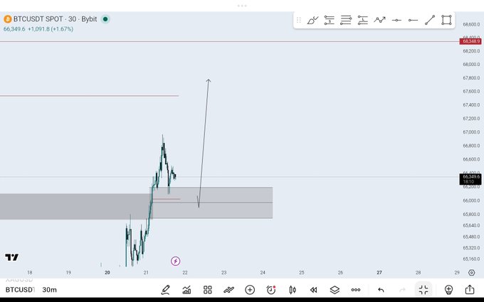 A TradingView BTCUSD 30-minute chart showing Bitcoin spot price at 66,349.6 (+1.67%), with an upward arrow annotation drawn near the price action.