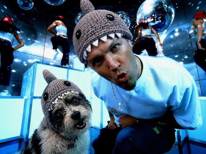 A man and a small dog, both wearing matching grey knitted shark hats with teeth, posing in what appears to be a dance studio with mirrors and disco balls, with dancers visible in the background.