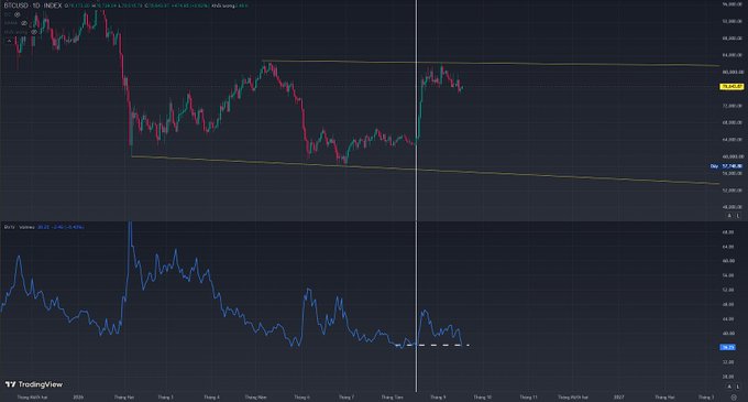 A TradingView chart displays Bitcoin (BTC/USD) price action on a 1-day timeframe from TradingView, featuring red and green candlesticks, a yellow descending channel pattern, and an RSI indicator below.
