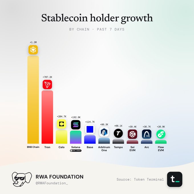 An infographic titled "Stablecoin holder growth" from RWA Foundation shows BNB Chain leading with +1.3M holders, followed by Tron (+787.2K) and other chains over the past 7 days, sourced from Token Terminal.