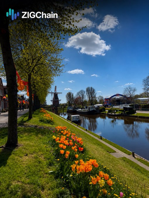 A scenic Dutch canal lined with vibrant orange tulips, traditional windmills, and boats, with the "ZIGChain" logo in the top left corner, visually reflecting the post's nod to Dutch followers and highlighting ZIGChain's mission of accessible financial products through its L1 blockchain.