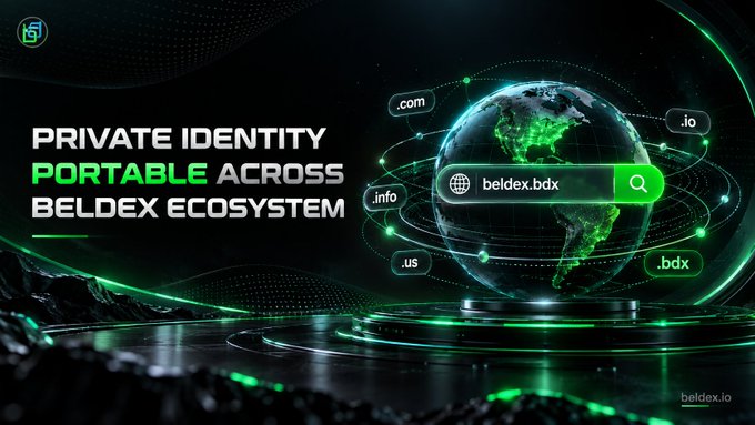 A promotional graphic for beldex.io advertising 'PRIVATE IDENTITY PORTABLE ACROSS BELDEX ECOSYSTEM' featuring a glowing green digital globe with domain extensions (.com, .io, .info, .us, .bdx) floating around it.