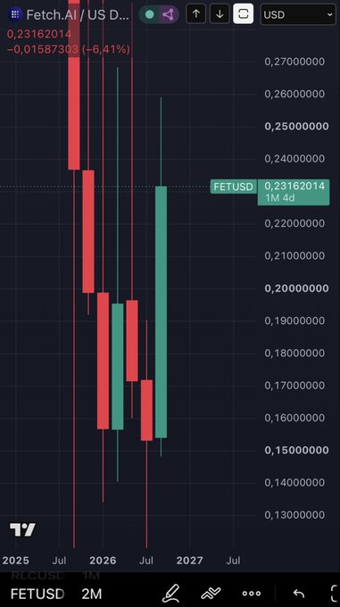 A candlestick financial chart on TradingView for the ticker 'FETUSD' showing a price of 0.23162014, with a change of -0.01587303 (-6.41%), displayed on a monthly (2M) timeframe with red and green candles.