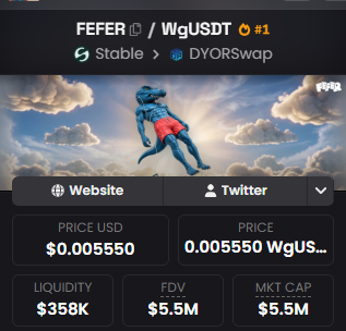 The image shows a DEX listing for the $FEFER/WgUSDT trading pair on the Stable platform via DYoRSwap, displaying a current price of $0.005550, $358K in liquidity, and a $5.5M market cap and FDV. It directly supports the user's question by highlighting the unusually high $358K liquidity for FEFER compared to other low-cap tokens on the chain, visually reinforcing their suspicion that significant backing may be behind the pool.