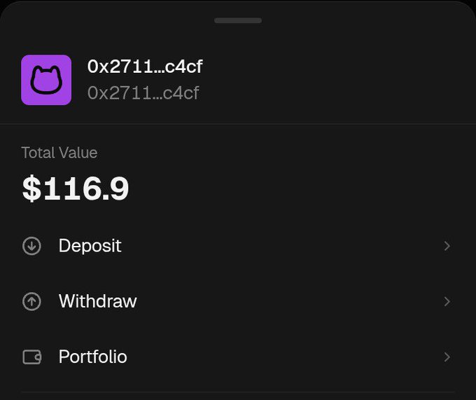A mobile wallet interface showing a crypto address (0x2711...c4cf) with a cat icon, displaying a Total Value of $116.9 and options to Deposit, Withdraw, and view Portfolio.