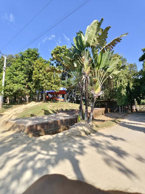 The image shows a tropical setting with palm trees and a dirt road. The sky above appears blue, suggesting that it's daytime. There are two palm trees visible in the scene - one located closer to the left side of the image and another further back on the right side. A person is standing near these trees, possibly enjoying the view or taking a break from their activities.

The post features an image of a palm tree with a caption that reads "Good morning CT, Only a few days left until the @XOOBNetwork campaign ends on June 3,time to push for every last point and finish strong". The caption also mentions two people in the scene - one near the center of the image and another closer to the right side.