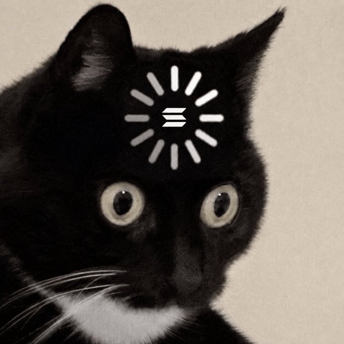 A black cat with wide, alert eyes has a white loading spinner symbol overlaid on its forehead, suggesting a "loading" or processing state. The image humorously conveys the cat appearing puzzled or overloaded, matching the post's sentiment of impatience or disinterest when conversations stray away from topics like Solana gaming or collectibles.
