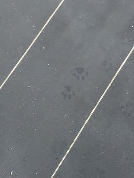 An aerial view of a paved asphalt surface with two yellow diagonal parking lines and a small wet spot or stain in the middle.