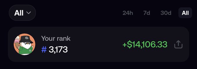 A dark-themed dashboard shows a user rank of #3,173 with earnings of +$14,106.33, alongside a pirate-themed profile picture and time period filter options (24h, 7d, 30d, All).