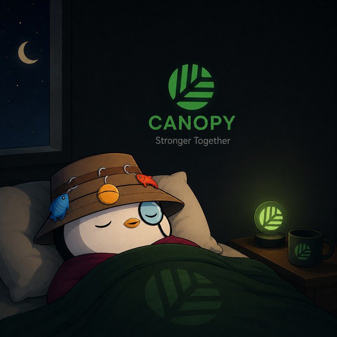 The image features a cartoon penguin sleeping next to a bed with a green blanket that has a leaf pattern. The penguin is wearing a brown hat with fish decorations. In the background of the image, there are two cups - one on the right side and another on the left side of the frame. The text "Canopy" is displayed in the image along with the phrase "Stronger Together".