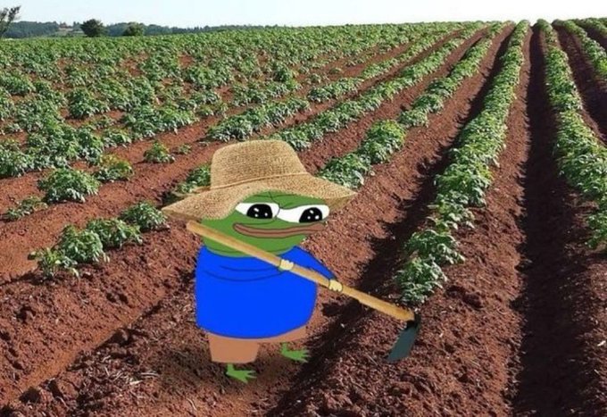 A meme featuring a Pepe the Frog character dressed as a farmer with a straw hat, blue shirt, and hoe, photoshopped into a field of crops with rows of green plants in dark soil.