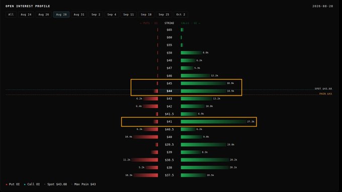 An 'OPEN INTEREST PROFILE' chart dated 2026-08-28 displaying put/call options data, with notable strike levels $45 and $41 highlighted in orange boxes, showing spot price at $45.60 and max pain at $45.