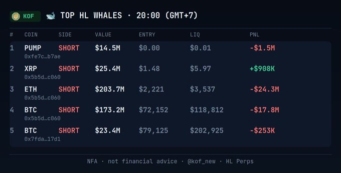 A trading dashboard titled "TOP HL WHALES · 20:00 (GMT+7)" listing top Hyperliquid whale positions showing large SHORT positions on PUMP ($14.5M, -$1.5M PnL), XRP ($25.4M, +$908K PnL), ETH ($203.7M, -$24.3M PnL), BTC ($173.2M, -$17.8M PnL), and BTC ($23.4M, -$253K PnL), with disclaimer "NFA · not financial advice · @kof_new · HL Perps".