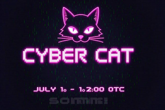 A pixelated pink neon cat logo glows against a dark background streaked with falling green code, with "CYBER CAT" displayed prominently and "JULY 1 - 12:00 UTC" shown below to announce SOLMemeToken's Monthly Drop #2.
