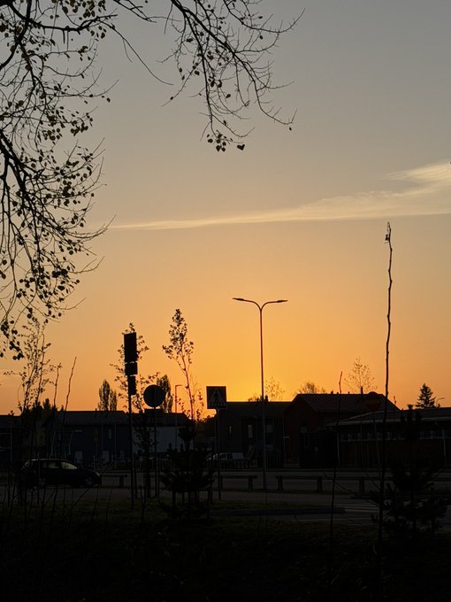 A street scene is silhouetted against a warm orange sunset, with bare tree branches, a traffic light, road signs, streetlamps, low buildings, and parked cars visible in the foreground.