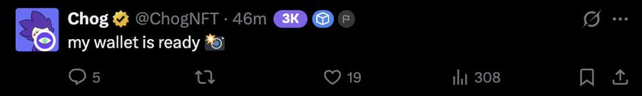 A tweet from Chog (@ChogNFT) posted 46 minutes ago reads "my wallet is ready 💰," gaining 19 likes and 308 impressions, aligning with the context of an upcoming $Chog snapshot announcement where the user is preparing their wallet for potential allocations based on token holdings.