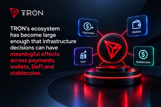 A promotional graphic for TRON featuring its red logo and text stating 'TRON's ecosystem has become large enough that infrastructure decisions can have meaningful effects across payments, wallets, DeFi and stablecoins,' with icons for Payments, Wallets, DeFi, and Stablecoins surrounding a glowing red TRON symbol.