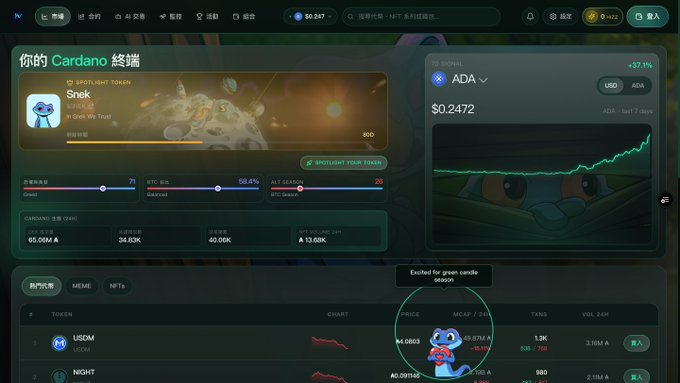 A Cardano-themed terminal dashboard in Chinese showing wallet details for 'Snek' night token, market sentiment metrics, ADA price at $0.2472, and a token list including USDM and NIGHT.