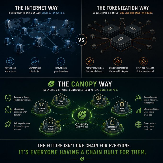 An infographic comparing 'THE INTERNET WAY' vs 'THE TOKENIZATION WAY' vs 'THE CANOPY WAY,' promoting the Canopy Network with interconnected sovereign chains (DeFi, Gaming, Social, Consumer, RWA) and the tagline 'The future isn't one chain for everyone. It's everyone having a chain built for them.'