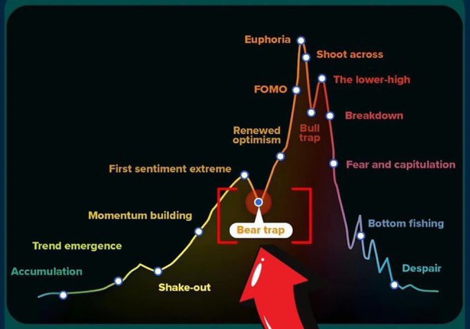 A financial market psychology chart illustrating the classic market cycle from 'Accumulation' through 'Euphoria' to 'Despair', highlighting various phases like 'Bear trap', 'Bull trap', and 'FOMO'.