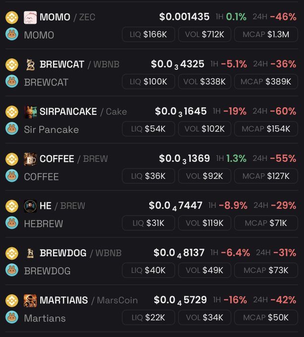 A cryptocurrency tracking dashboard displays several meme tokens with sharp declines: MOMO/ZEC at $0.001435 (-46%), BREWCAT/WBNB at $0.034325 (-36%), SIRPANCAKE/Cake at $0.031645 (-60%), COFFEE/BREW at $0.031369 (-55%), HE/BREW at $0.047447 (-29%), BREWDOG/WBNB at $0.048137 (-31%), and MARTIANS/MarsCoin at $0.045729 (-42%) over 24 hours. The widespread red losses visually underscore the post's questioning tone, reinforcing concerns about holders' faith amid a broad sell-off across these BNB Chain tokens.