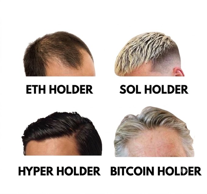 A meme showing four male heads with different stages of balding, labeled 'ETH HOLDER' (receding hairline), 'SOL HOLDER' (blonde spiky hair), 'HYPER HOLDER' (full dark hair), and 'BITCOIN HOLDER' (receding blonde hairline).