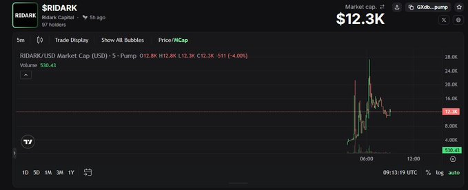 The image shows a DexScreener chart for the $RIDARK token on the Pump Solana pair, displaying a market cap of $12.3K, 97 holders, and a recent price spike to around $12.8K (down 4% to ~$12.3K) with trading volume of 530.4 SOL. This visualizes the speculative token mentioned in the post, where the developer acknowledges someone launched a token tied to their $RIDARK project—which gained visibility after Elon Musk reposted their guide.