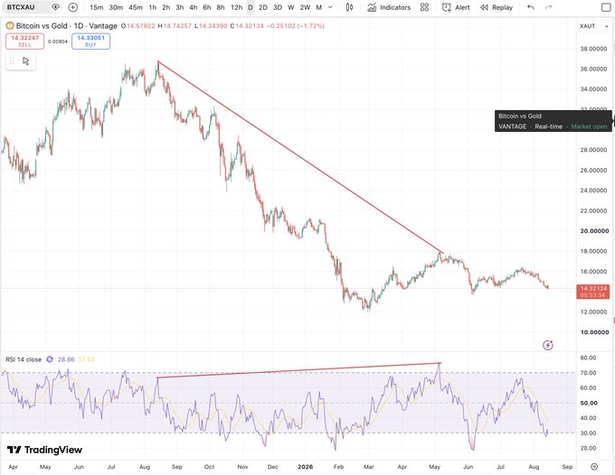 A TradingView chart of the BTC/CAU (Bitcoin vs Gold) ratio displays a daily candle chart declining from ~38 down to 14.33, with a descending red trendline connecting the August 2025 peak to the recent May high, while the lower RSI panel shows clear bearish divergence marked by a red trendline as the ratio failed at resistance and rolled over.