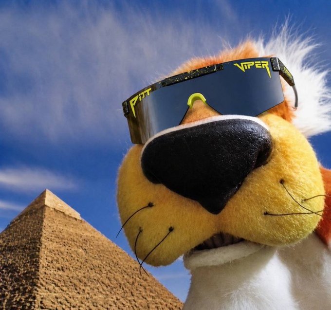 A close-up photo of a stuffed lion toy wearing yellow 'PIT VIPER' branded sunglasses, with a pyramid visible in the background against a blue sky.