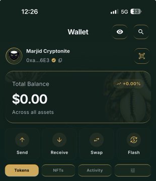 A mobile wallet app screenshot titled "Marjidi Cryptonite" shows a Total Balance of $0.00 across all assets, with options to Send, Receive, Swap, and Flash tokens. The image appears to promote a crypto wallet project by highlighting its utility features like audio/video calls, channel creation, and the ability to tip multiple users in a channel simultaneously.