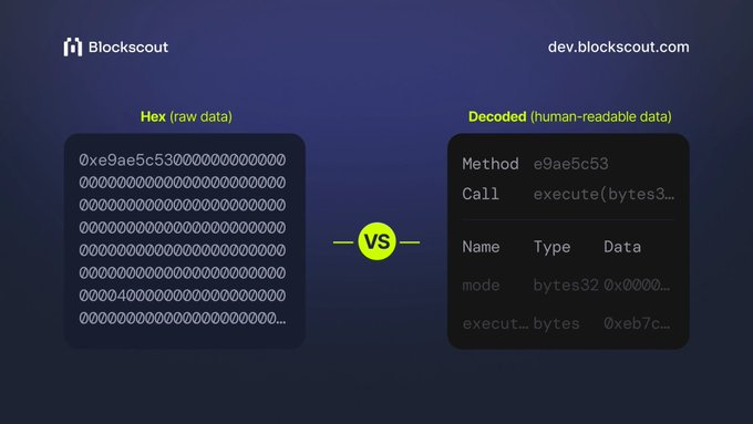 A Blockscout interface comparing raw hex data with decoded human-readable data, showing 'Method e9ae56c3' and 'Call execute(bytes3...)'.