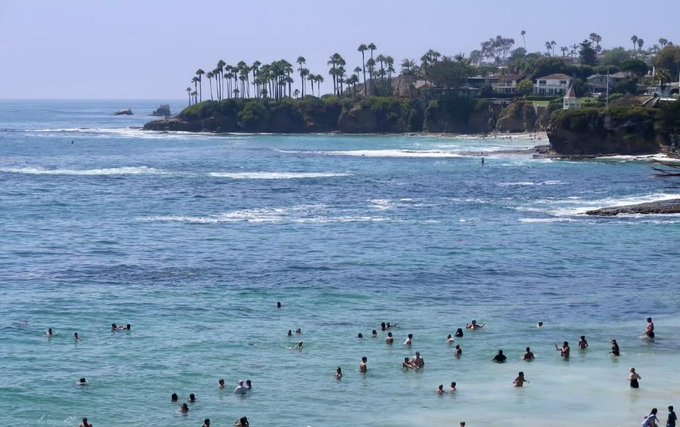 A crowded beach scene at Laguna Beach, California, with swimmers wading in turquoise waters and palm trees lining the coastal cliffs in the background. This matches the post's reference to it being considered one of California's most beautiful beaches and the location of the $50 million case incident.