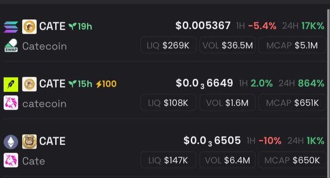 A cryptocurrency tracker displays multiple tokens named CATE/catecoin, with prices ranging from $0.005367 to $0.036649 and various market caps and volumes.
