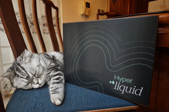 A photo of a tabby cat sleeping on a blue chair cushion next to a black box with 'Hyperliquid' branding in teal lettering.