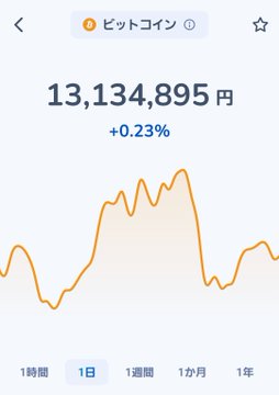 A Japanese cryptocurrency app screen displays the Bitcoin price at 13,134,895 yen with a +0.23% change and an orange line chart over a 1-day period.