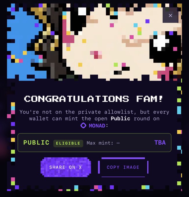 A pixel art graphic with the text 'CONGRATULATIONS FAM! You're not on the private allowlist, but every wallet can mint the open Public round on MONAD' showing 'PUBLIC ELIGIBLE' status.